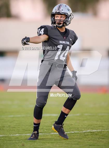 Thumbnail 2 in Basha @ Hamilton photogallery.