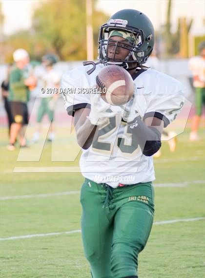 Thumbnail 3 in Basha @ Hamilton photogallery.