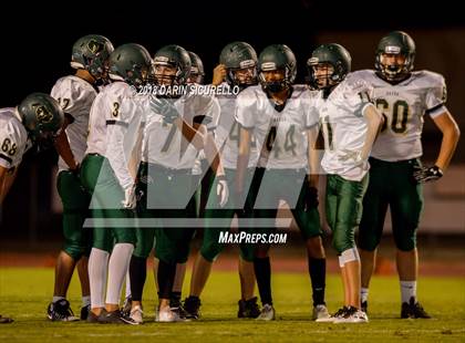 Thumbnail 3 in Basha @ Hamilton photogallery.