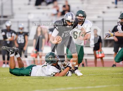 Thumbnail 1 in Basha @ Hamilton photogallery.