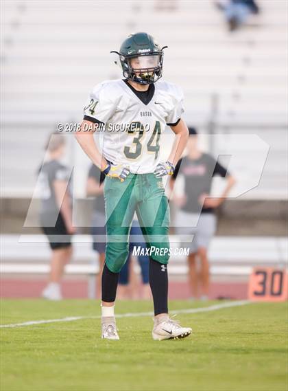 Thumbnail 1 in Basha @ Hamilton photogallery.