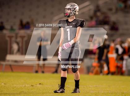 Thumbnail 2 in Basha @ Hamilton photogallery.