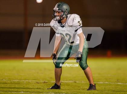 Thumbnail 3 in Basha @ Hamilton photogallery.