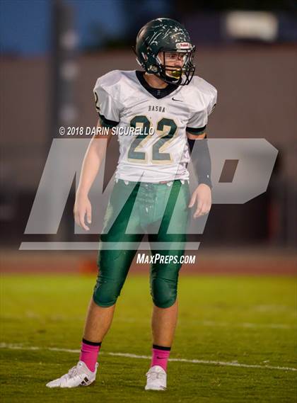 Thumbnail 3 in Basha @ Hamilton photogallery.