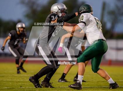 Thumbnail 1 in Basha @ Hamilton photogallery.