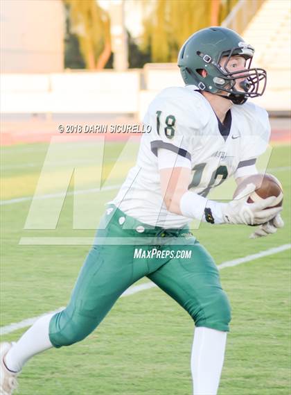 Thumbnail 1 in Basha @ Hamilton photogallery.