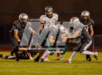 Thumbnail 2 in Basha @ Hamilton photogallery.