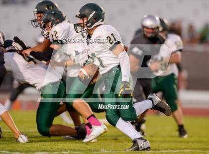 Thumbnail 3 in Basha @ Hamilton photogallery.
