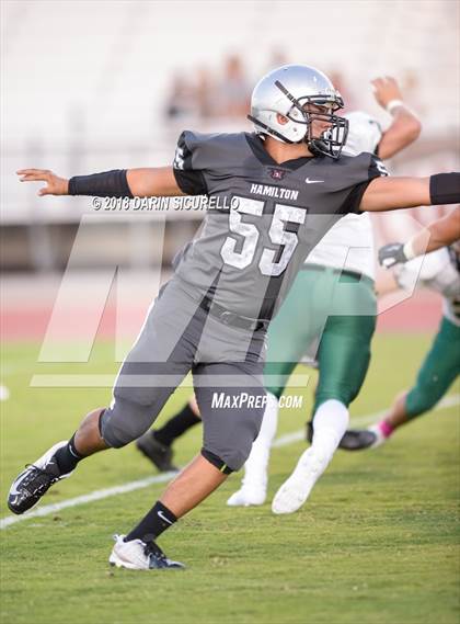 Thumbnail 1 in Basha @ Hamilton photogallery.