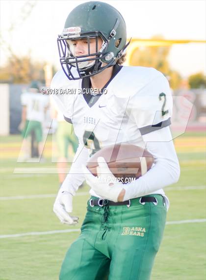 Thumbnail 3 in Basha @ Hamilton photogallery.