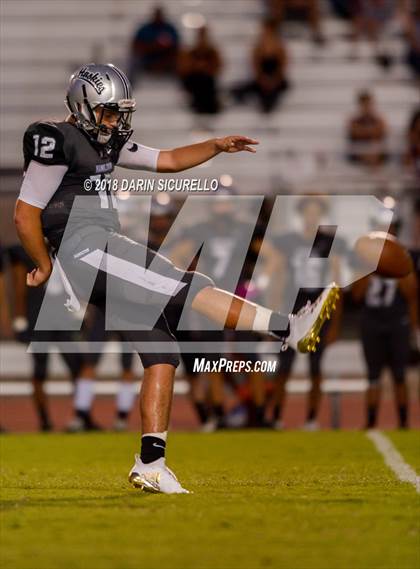 Thumbnail 2 in Basha @ Hamilton photogallery.