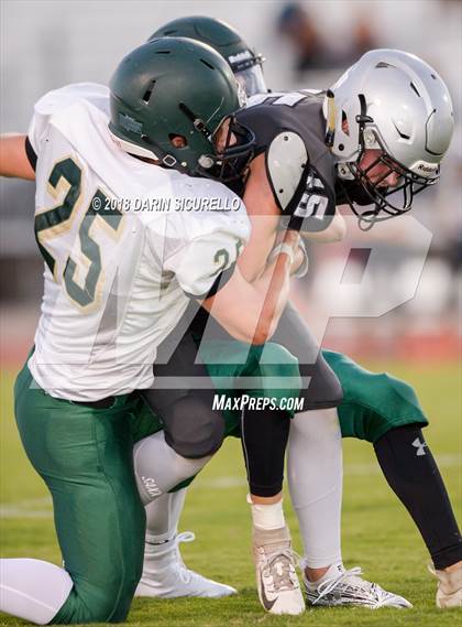 Thumbnail 2 in Basha @ Hamilton photogallery.