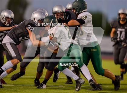 Thumbnail 1 in Basha @ Hamilton photogallery.