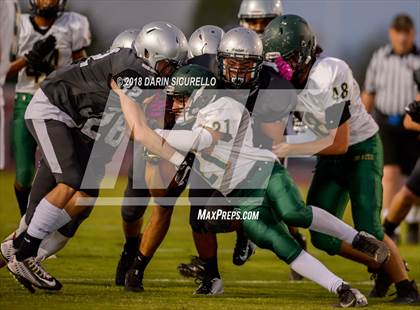 Thumbnail 2 in Basha @ Hamilton photogallery.