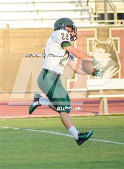 Thumbnail 2 in Basha @ Hamilton photogallery.