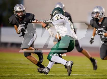 Thumbnail 2 in Basha @ Hamilton photogallery.