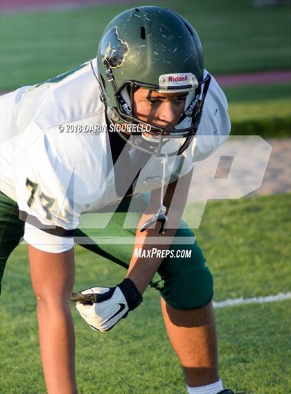 Thumbnail 2 in Basha @ Hamilton photogallery.