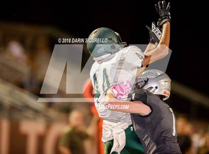 Thumbnail 3 in Basha @ Hamilton photogallery.
