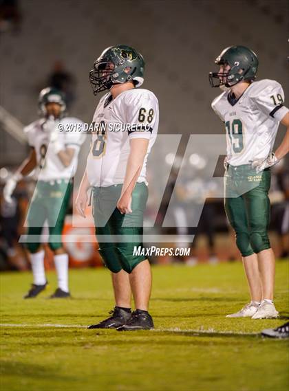 Thumbnail 3 in Basha @ Hamilton photogallery.