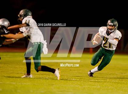 Thumbnail 1 in Basha @ Hamilton photogallery.