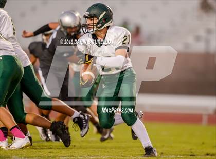Thumbnail 2 in Basha @ Hamilton photogallery.