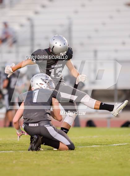 Thumbnail 2 in Basha @ Hamilton photogallery.