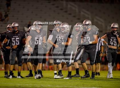 Thumbnail 1 in Basha @ Hamilton photogallery.