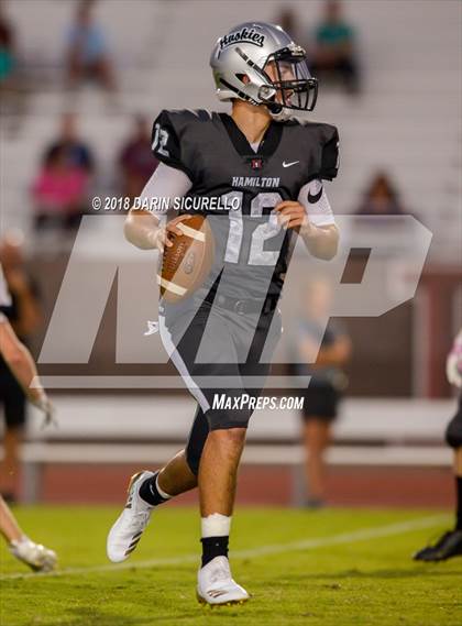 Thumbnail 1 in Basha @ Hamilton photogallery.