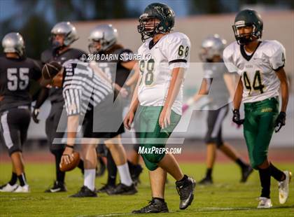 Thumbnail 3 in Basha @ Hamilton photogallery.