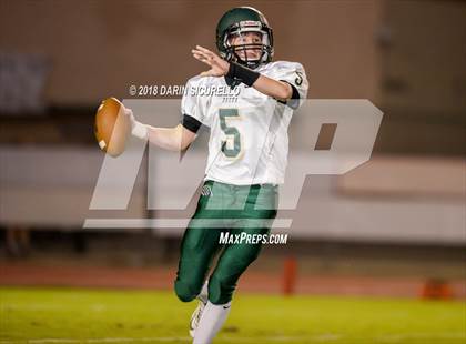 Thumbnail 1 in Basha @ Hamilton photogallery.