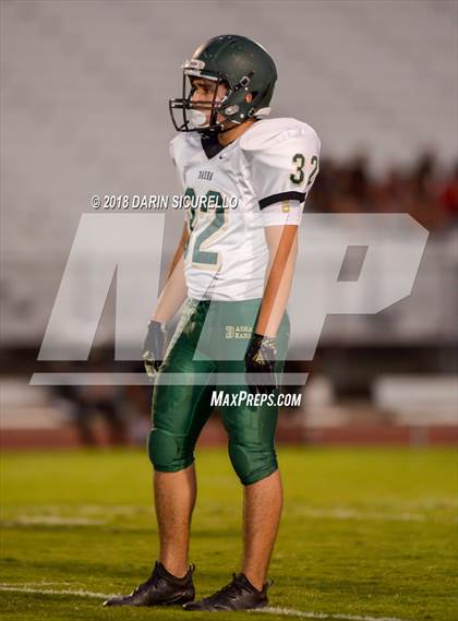 Thumbnail 2 in Basha @ Hamilton photogallery.