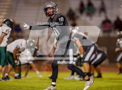 Thumbnail 2 in Basha @ Hamilton photogallery.