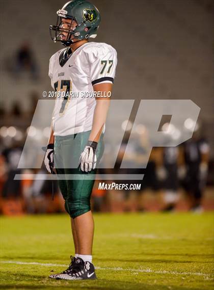 Thumbnail 1 in Basha @ Hamilton photogallery.