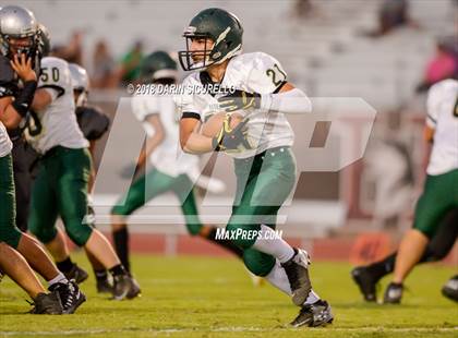 Thumbnail 1 in Basha @ Hamilton photogallery.