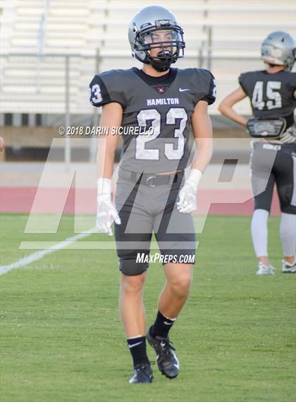 Thumbnail 3 in Basha @ Hamilton photogallery.