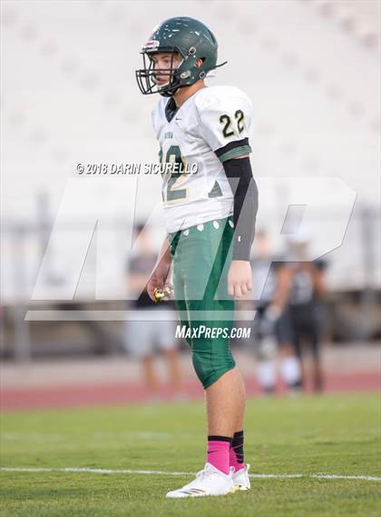 Thumbnail 2 in Basha @ Hamilton photogallery.