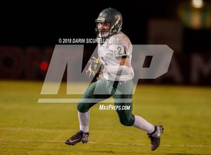Thumbnail 3 in Basha @ Hamilton photogallery.