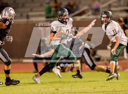 Thumbnail 2 in Basha @ Hamilton photogallery.