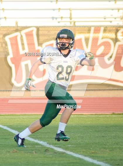 Thumbnail 3 in Basha @ Hamilton photogallery.