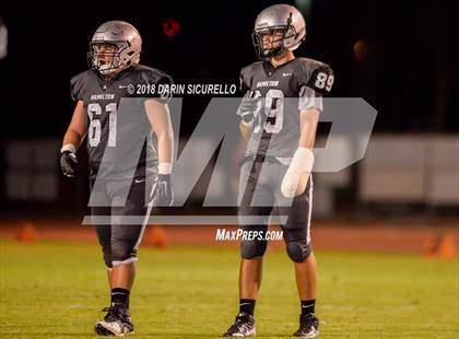 Thumbnail 1 in Basha @ Hamilton photogallery.