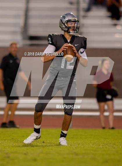Thumbnail 3 in Basha @ Hamilton photogallery.