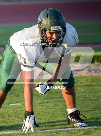 Thumbnail 1 in Basha @ Hamilton photogallery.