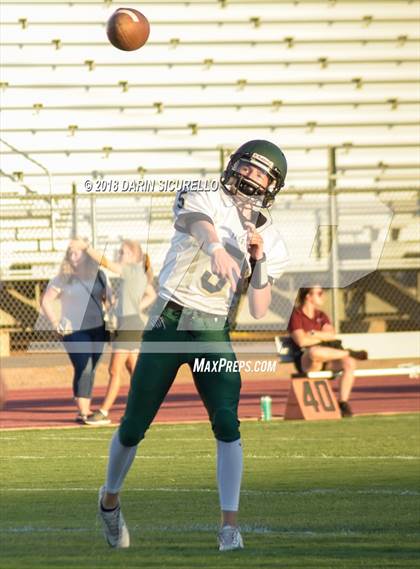 Thumbnail 1 in Basha @ Hamilton photogallery.