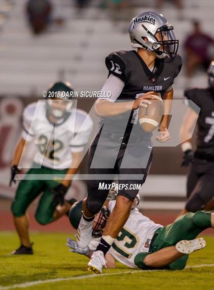 Thumbnail 3 in Basha @ Hamilton photogallery.
