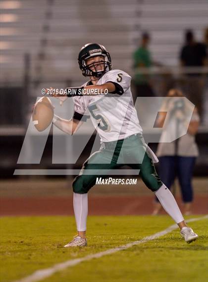 Thumbnail 1 in Basha @ Hamilton photogallery.