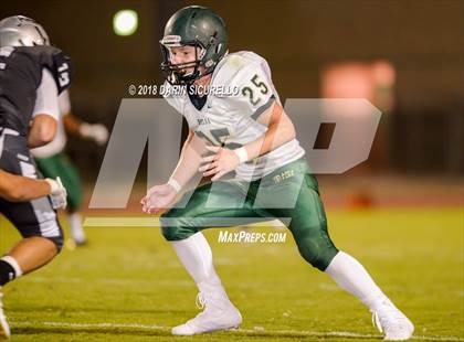 Thumbnail 2 in Basha @ Hamilton photogallery.
