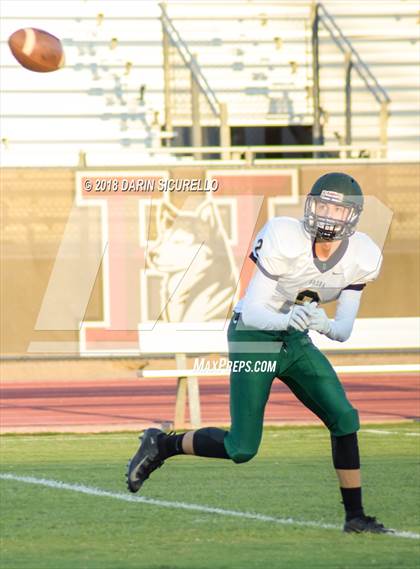 Thumbnail 3 in Basha @ Hamilton photogallery.