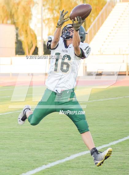 Thumbnail 2 in Basha @ Hamilton photogallery.