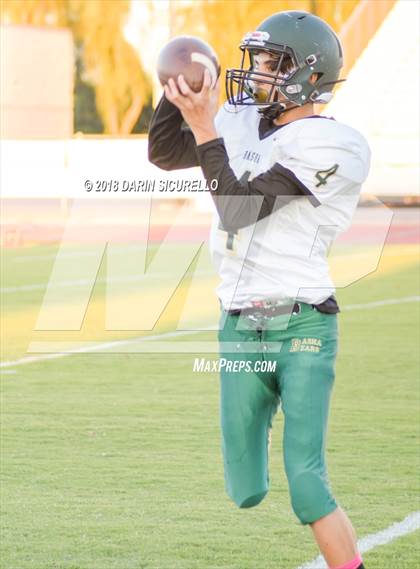 Thumbnail 2 in Basha @ Hamilton photogallery.