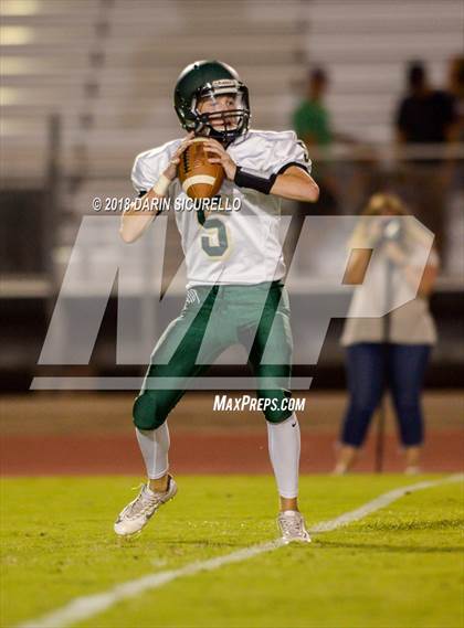 Thumbnail 3 in Basha @ Hamilton photogallery.